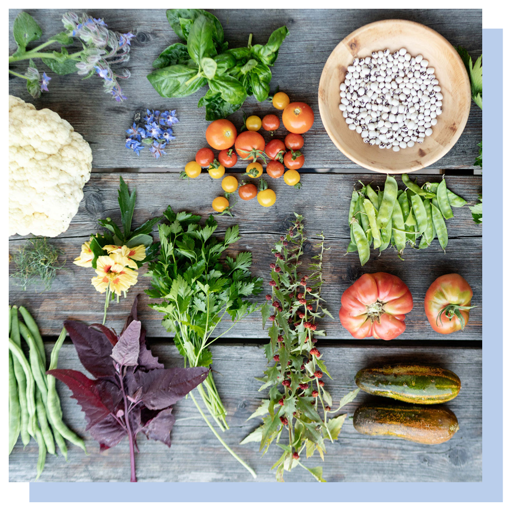 Ferienhaus-Adelia-Mittenwald-Bilder-mit-Schatten3